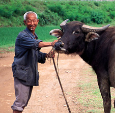 小型飼料顆粒機(jī),農(nóng)民圓夢(mèng)！
